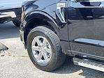 2024 Ford F-150 SuperCrew Cab 4WD Pickup for sale #25C154 - photo 22