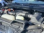 2022 Ford F-150 SuperCrew Cab 4WD Pickup for sale #25C174 - photo 24