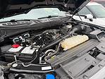 2023 Ford F-150 SuperCrew Cab 4WD Pickup for sale #25C196 - photo 20
