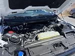 2024 Ford F-150 SuperCrew Cab 4x4 Pickup for sale #25C63 - photo 20