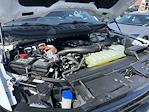 2025 Ford F-150 SuperCrew Cab 4x4 Pickup for sale #25P138 - photo 20