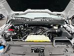 2024 Ford F-150 SuperCrew Cab 4WD Pickup for sale #25P167A - photo 21