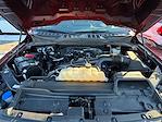 2023 Ford F-150 SuperCrew Cab 4WD Pickup for sale #262178A - photo 18