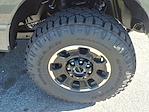 New 2026 Ford F-250 Lariat Crew Cab 4WD Pickup for sale #264006 - photo 13