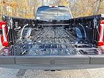 New 2026 Ford F-250 Platinum Crew Cab 4WD Pickup for sale #264093 - photo 14