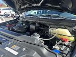 2022 Ford F-350 Crew Cab SRW 4WD Pickup for sale #269000A - photo 19