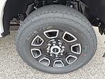 New 2026 Ford F-250 Platinum Crew Cab for sale #269034 - photo 9