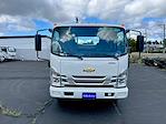 2024 Chevrolet LCF 5500XD Regular Cab RWD, Cab Chassis for sale #CM4310 - photo 50