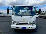 2024 Chevrolet LCF 5500XD Regular Cab RWD, Cab Chassis for sale #CM4311 - photo 24