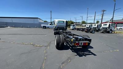 2024 Chevrolet LCF 5500XD Regular Cab RWD, Cab Chassis for sale #CM4330 - photo 2