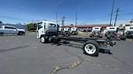 2024 Chevrolet LCF 5500XD Regular Cab RWD, Cab Chassis for sale #CM4330 - photo 31