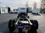 2024 Chevrolet LCF 5500XD Regular Cab RWD, Cab Chassis for sale #CM4337 - photo 2