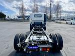 New 2025 Chevrolet LCF 5500XG Regular Cab Cab Chassis for sale #CM5200 - photo 2