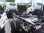 2024 Isuzu NPR-HD Regular Cab 4x2, Cab Chassis for sale #240590 - photo 2