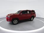 Used 2022 Toyota 4Runner SR5 SUV for sale #325188311 - photo 8
