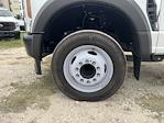 New 2024 Ford F-450 Crew Cab Cab Chassis for sale #4250675F - photo 3