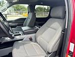 2024 Ford F-150 SuperCrew Cab 4WD Pickup for sale #52048031 - photo 17