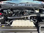 2024 Ford F-150 SuperCrew Cab 4WD Pickup for sale #52048031 - photo 22