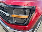 2024 Ford F-150 SuperCrew Cab 4WD Pickup for sale #52048031 - photo 37