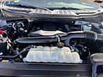 2021 Ford F-150 SuperCrew Cab 4WD Pickup for sale #52500171 - photo 22