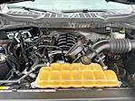 2021 Ford F-150 SuperCrew Cab 4WD Pickup for sale #52515751 - photo 22