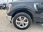 2021 Ford F-150 SuperCrew Cab 4WD Pickup for sale #52515751 - photo 23