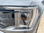 Used 2022 Ford F-150 Platinum SuperCrew Cab for sale #52520461 - photo 37