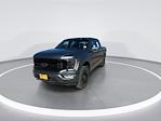 Used 2022 Ford F-150 Platinum SuperCrew Cab for sale #52520461 - photo 4