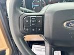 2024 Ford F-450 Crew Cab DRW 4WD Pickup for sale #52534081 - photo 31