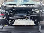 2023 Ford F-150 SuperCrew Cab 4WD Pickup for sale #52541631 - photo 22