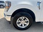 2023 Ford F-150 SuperCrew Cab 4WD Pickup for sale #52541631 - photo 23