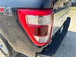 2021 Ford F-150 SuperCrew Cab 4WD Pickup for sale #52543021 - photo 37