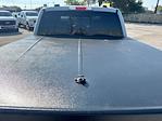 2023 Ford F-150 SuperCrew Cab 4WD Pickup for sale #52554311 - photo 24