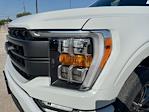2023 Ford F-150 SuperCrew Cab 4WD Pickup for sale #52554311 - photo 36