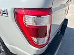 2023 Ford F-150 SuperCrew Cab 4WD Pickup for sale #52554311 - photo 37