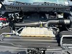 2023 Ford F-150 SuperCrew Cab 4WD Pickup for sale #52556831 - photo 22