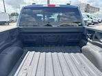 2023 Ford F-150 SuperCrew Cab 4WD Pickup for sale #52556831 - photo 25