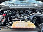 2018 Ford F-150 SuperCrew Cab 4WD Pickup for sale #525634011 - photo 21