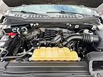 2020 Ford F-150 SuperCrew Cab RWD Pickup for sale #52570501 - photo 22