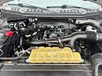 2020 Ford F-150 SuperCrew Cab RWD Pickup for sale #52579171 - photo 21