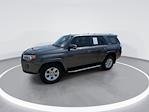 2016 Toyota 4Runner RWD SUV for sale #525793311 - photo 6
