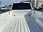 2025 Ford F-350 Crew Cab DRW 4WD Pickup for sale #52580791 - photo 25