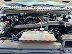 2024 Ford Expedition 4WD SUV for sale #54012081 - photo 22