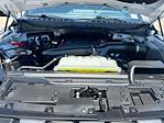 2024 Ford F-150 SuperCrew Cab 4WD Pickup for sale #54093911 - photo 22