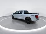 Used 2025 Ford F-150 Platinum SuperCrew Cab for sale #54500551 - photo 9