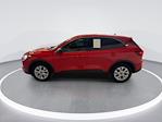 2024 Ford Escape FWD SUV for sale #55101471 - photo 9