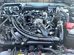 2024 Ford Bronco 4WD SUV for sale #56028281 - photo 22