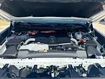 2025 Toyota Sequoia 4WD SUV for sale #56087261 - photo 22