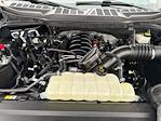 Used 2024 Ford F-150 XL Regular Cab for sale #62535471 - photo 22
