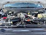 2025 Ford F-350 Crew Cab SRW 4WD Pickup for sale #6254459A1 - photo 22